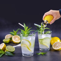 Westmark sitruunaruuvi | ter&auml;s | pituus 6,8 cm